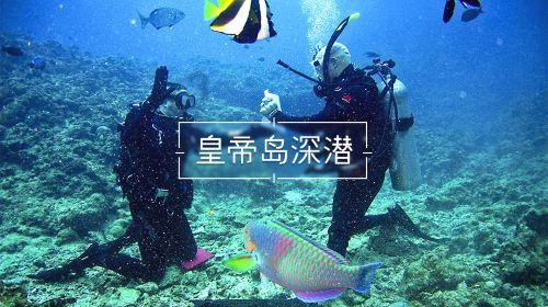 利津县东津实验幼儿园弘扬传统文化迎新年